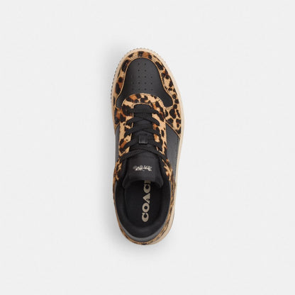 Coach Platform Sneaker With Leopard Print Black Leopard