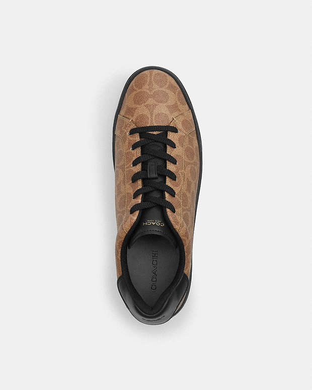 High Line Sneaker In Signature Canvas Khaki-Black Khaki-Black
