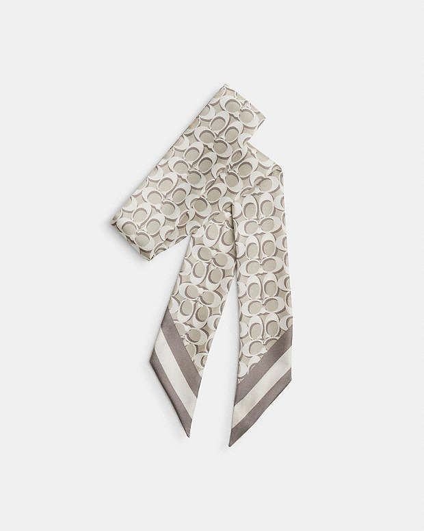 Signature Silk Skinny Scarf Silk-Bone Silk-Bone