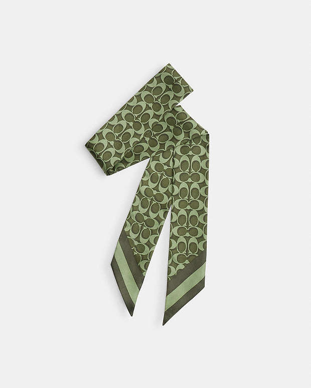 Signature Silk Skinny Scarf Silk-Olive Silk-Olive