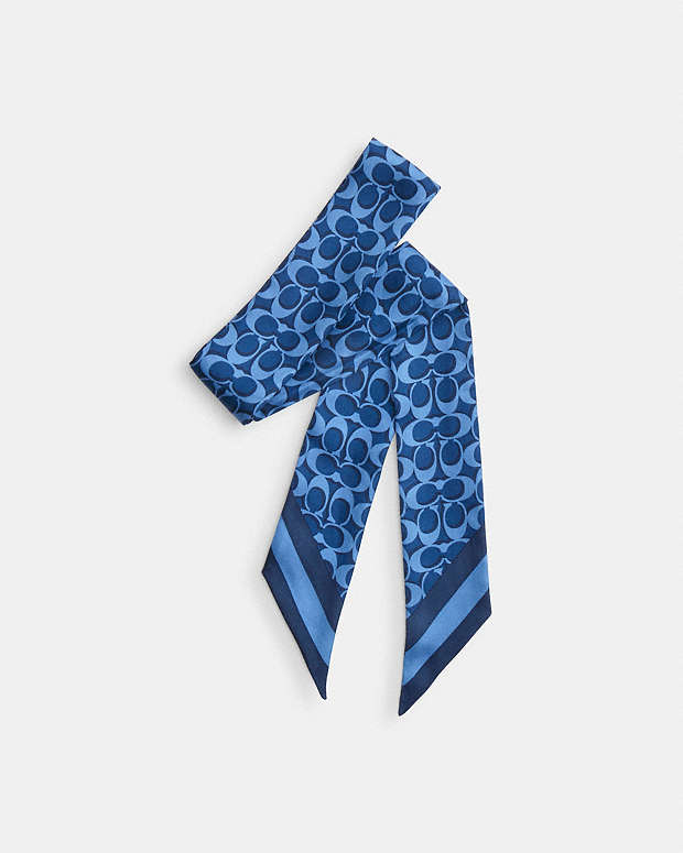 Signature Silk Skinny Scarf Silk-True Blue Silk-True Blue