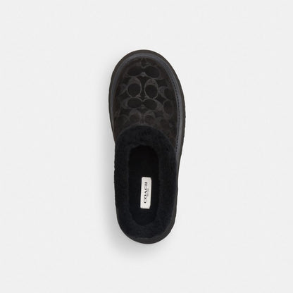 Women's Coach Cecelia Clog In Signature Suede Black