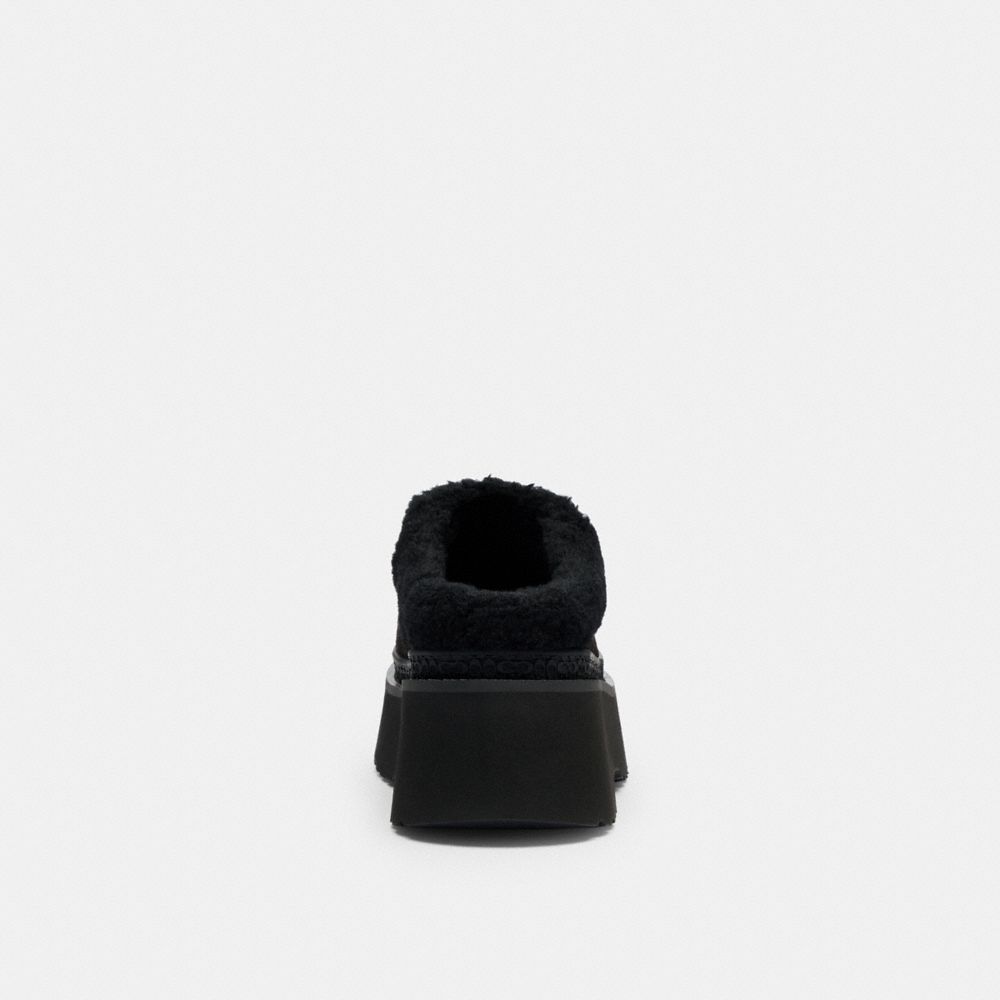 Women's Coach Cecelia Clog In Signature Suede Black