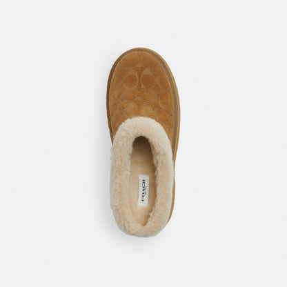 Women's Coach Cecelia Clog In Signature Suede Tobacco