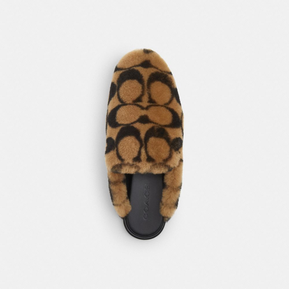Women's Coach Slipper In Signature Shearling Coconut