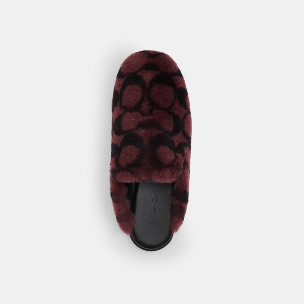 Women's Coach Slipper In Signature Shearling Merlot