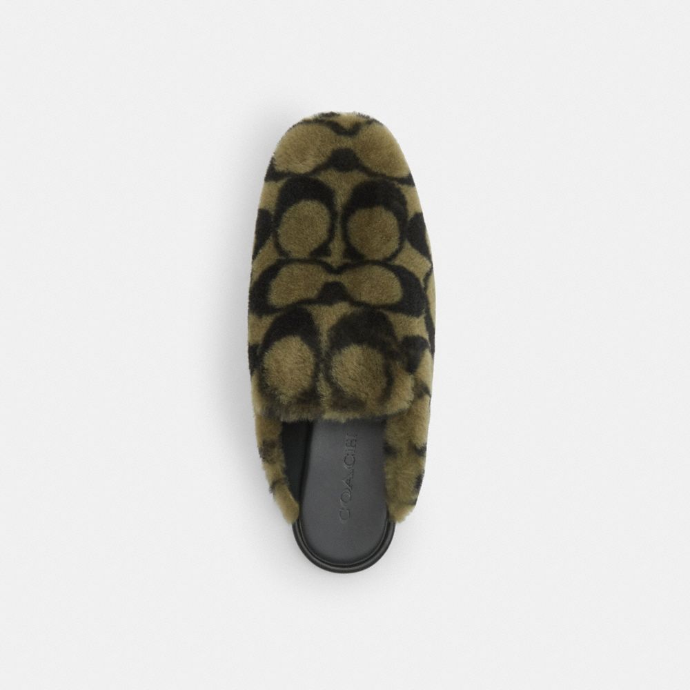Women's Coach Slipper In Signature Shearling Olive