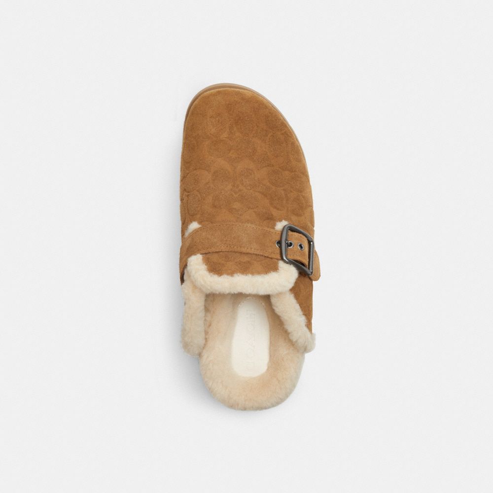 Men's Coach Buckle Clog In Signature Tobacco