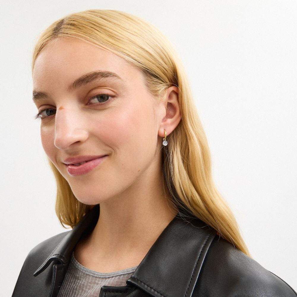 Coach Mini Tea Rose And Cherry Charm Hoop Earrings Gold Silver