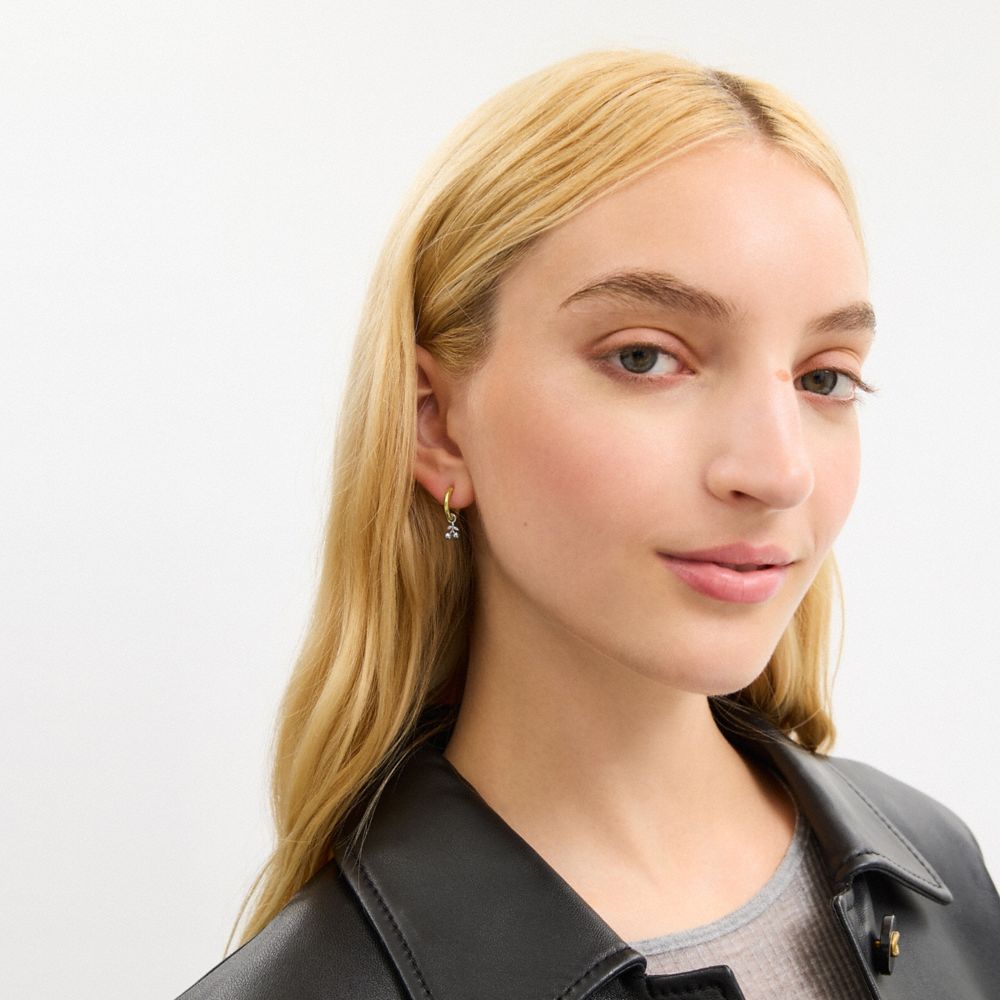 Coach Mini Tea Rose And Cherry Charm Hoop Earrings Gold Silver