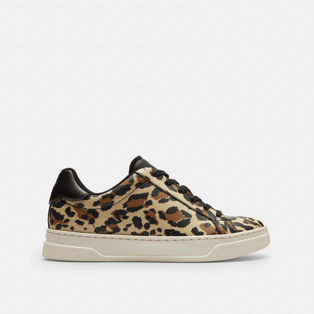 Women's Coach High Line Sneaker With Leopard Print Black Leopard