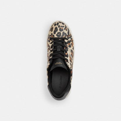 Women's Coach High Line Sneaker With Leopard Print Black Leopard