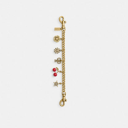 Coach Crystal Motif Chain Bag Charm Brass Multi