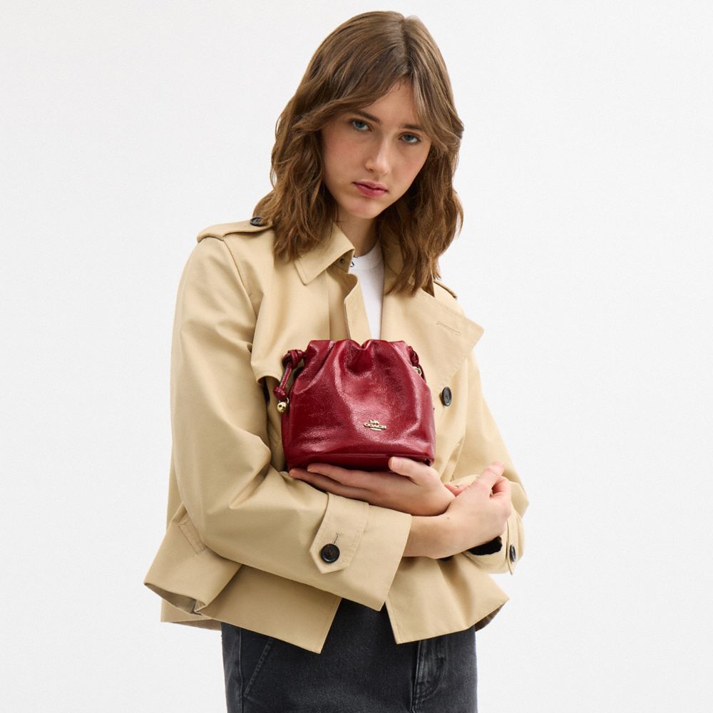 Coach Faye Mini Drawstring Bag Gold Dark Cardinal