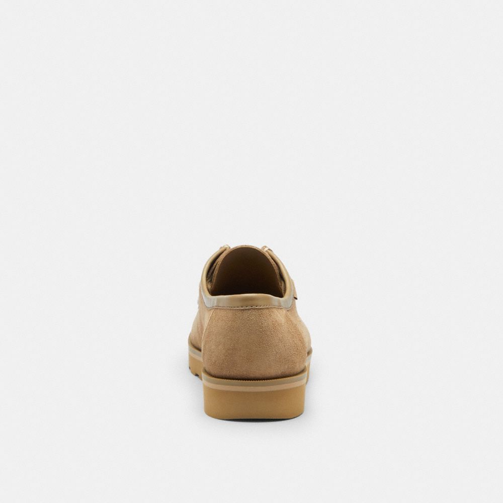 Men's Coach Chukka Shoe With Signature Canvas Stone