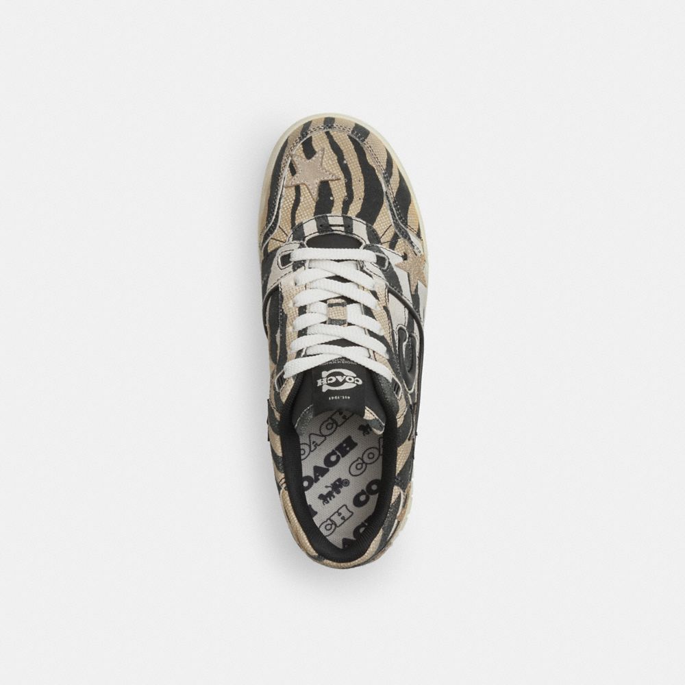 Women's Coach Soho Sneaker With Stars Tiger Multi