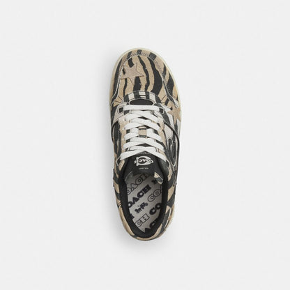 Women's Coach Soho Sneaker With Stars Tiger Multi