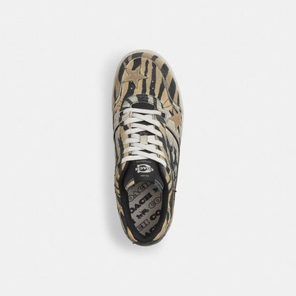 Men's Coach Soho Sneaker With Stars Tiger Multi