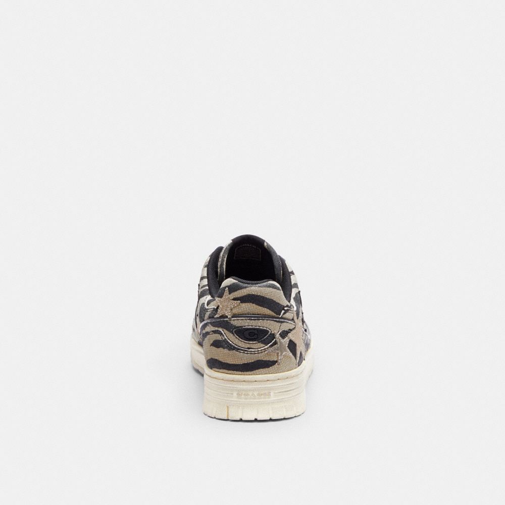 Men's Coach Soho Sneaker With Stars Tiger Multi