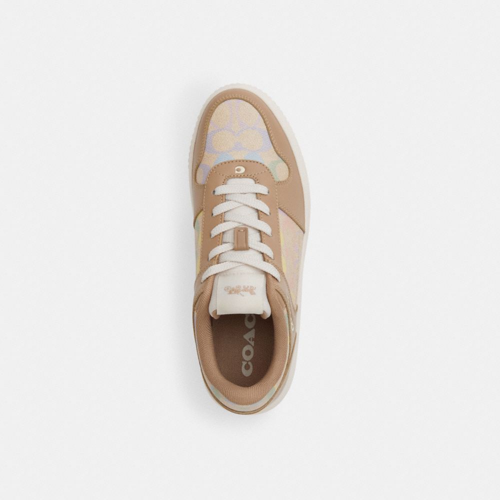 Coach Platform Sneaker In Rainbow Signature Canvas Rainbow Taupe