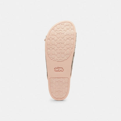 Women's Coach Two Band Buckle Sandal In Signature Jacquard Oak Candy Pink