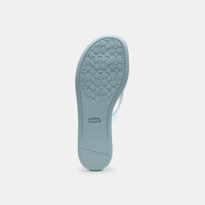 Women's Coach Jelly Flip Flop In Signature Sea Mist