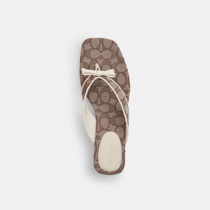 Women's Coach Bow Thong Kitten Heel In Signature Jacquard Oak Chalk
