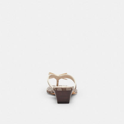 Women's Coach Bow Thong Kitten Heel In Signature Jacquard Oak Chalk