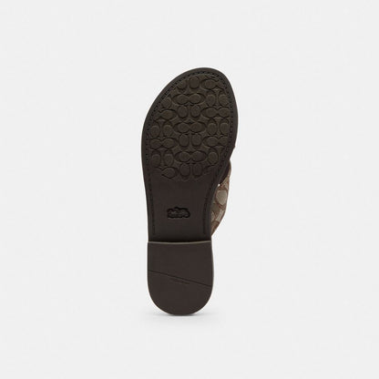 Women's Coach Crisscross Buckle Sandal In Signature Jacquard Oak Maple