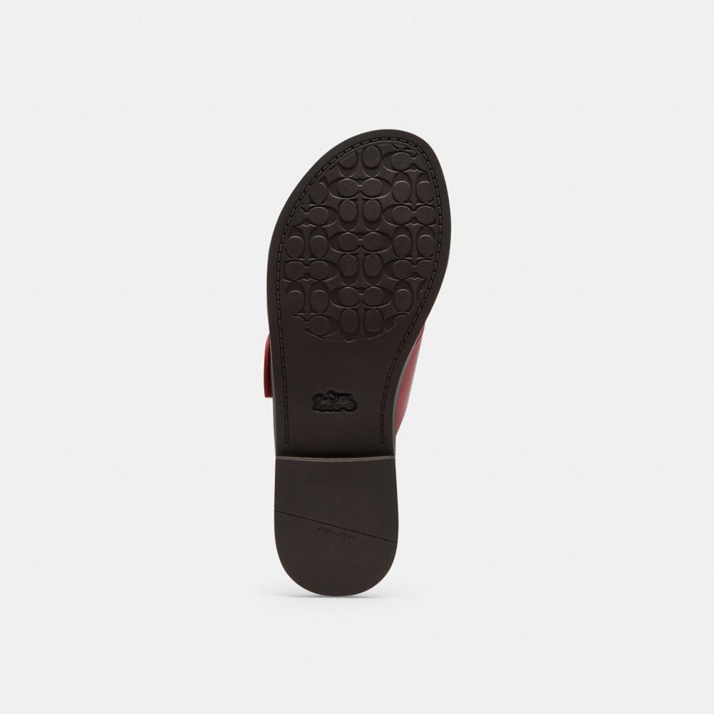 Women's Coach Crisscross Buckle Sandal Poppy