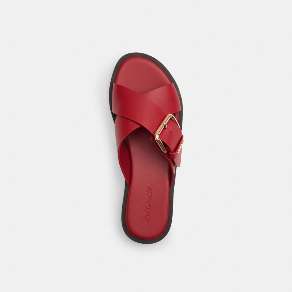 Women's Coach Crisscross Buckle Sandal Poppy