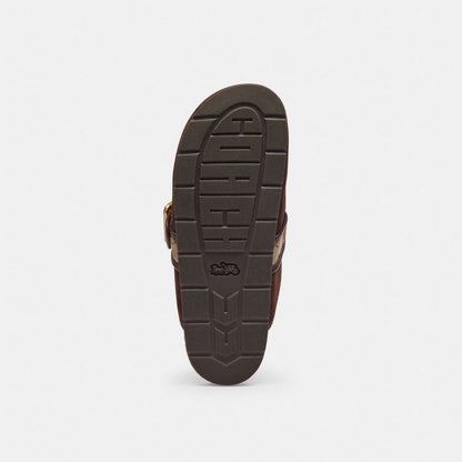 Women's Coach Archival Buckle Clog With Signature Jacquard Chocolate Brown