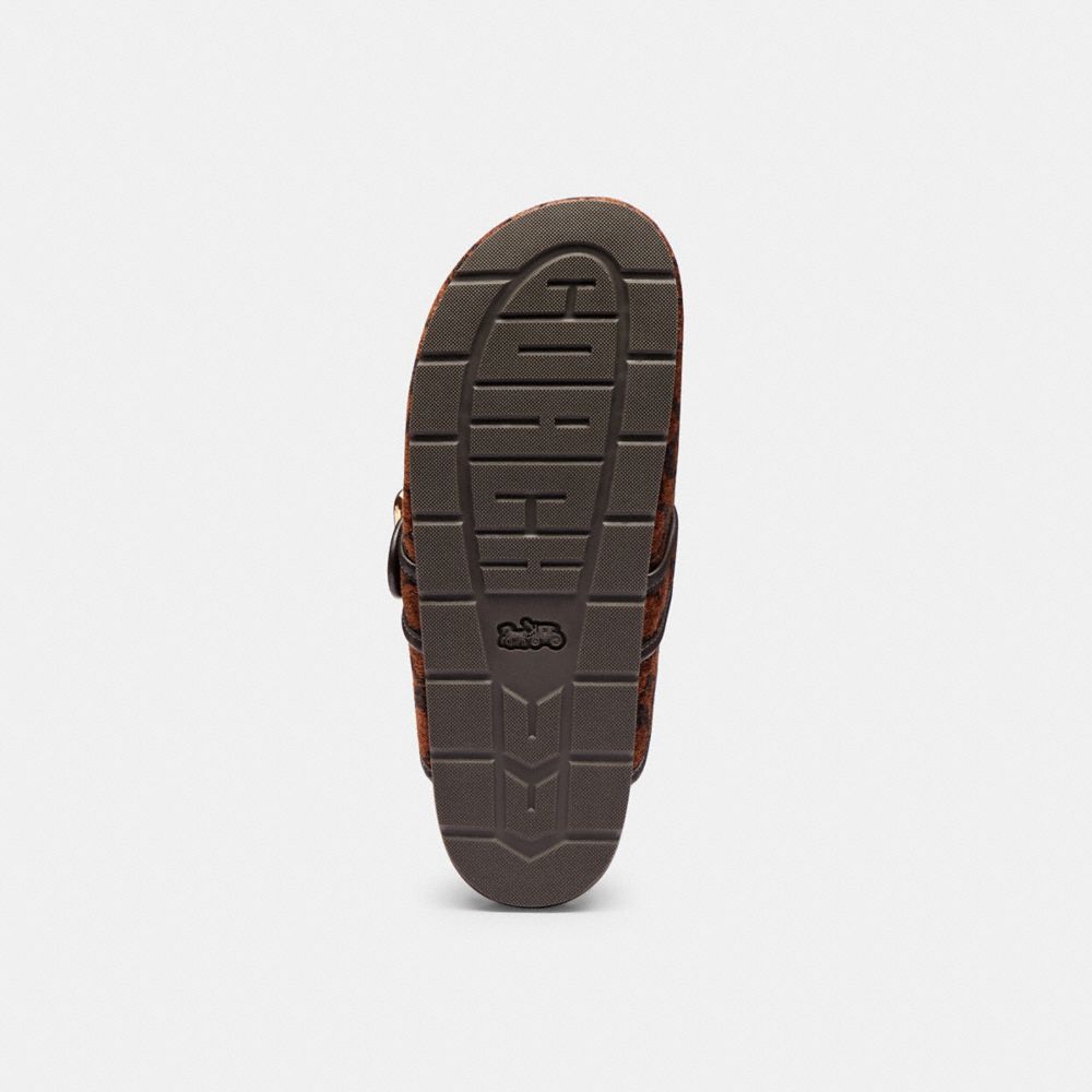 Women's Coach Archival Buckle Clog In Signature Chenille Truffle