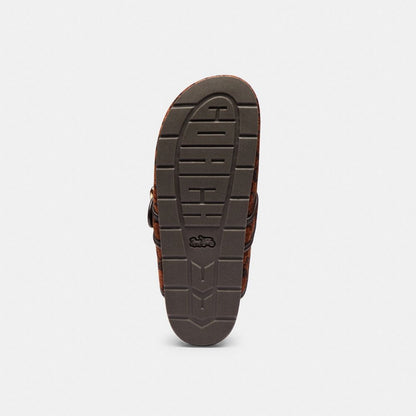Women's Coach Archival Buckle Clog In Signature Chenille Truffle