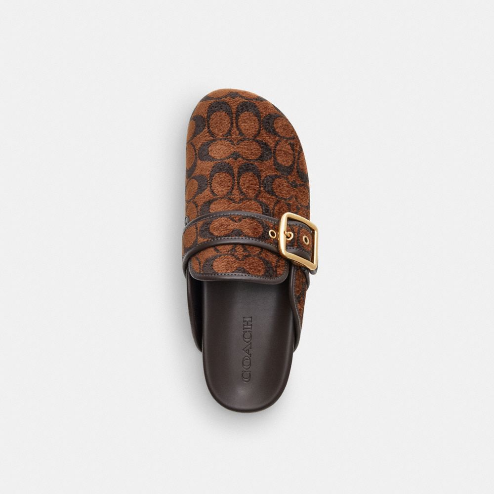 Women's Coach Archival Buckle Clog In Signature Chenille Truffle