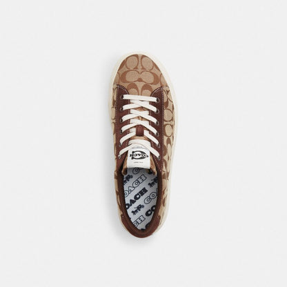 Women's Coach Skate Sneaker Khaki Maple