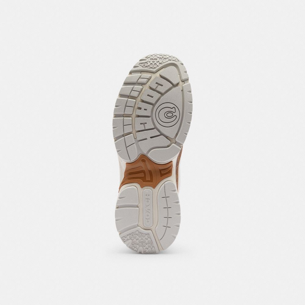 Women's Coach Sport Sneaker In Signature Canvas Brown Multi