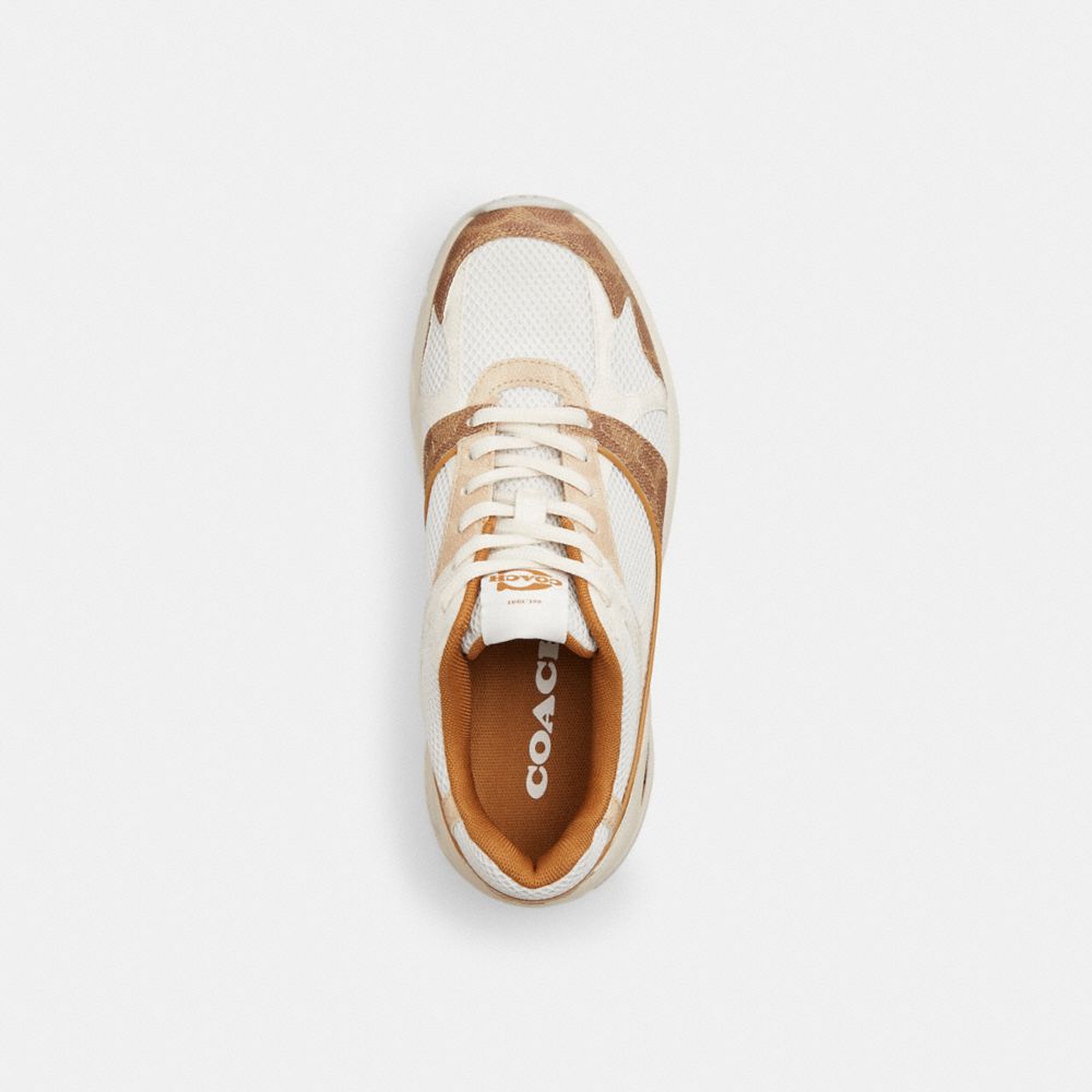 Women's Coach Sport Sneaker In Signature Canvas Brown Multi