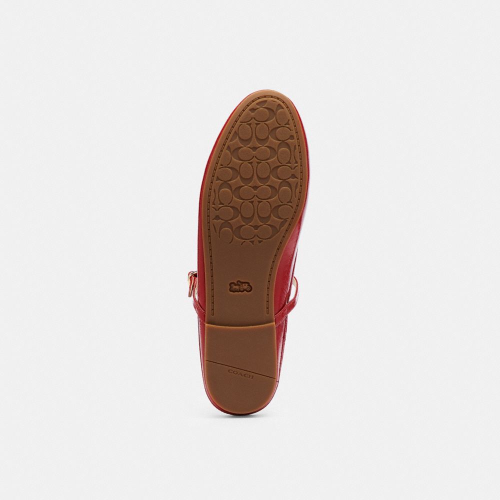 Women's Coach Ballet Mule Poppy