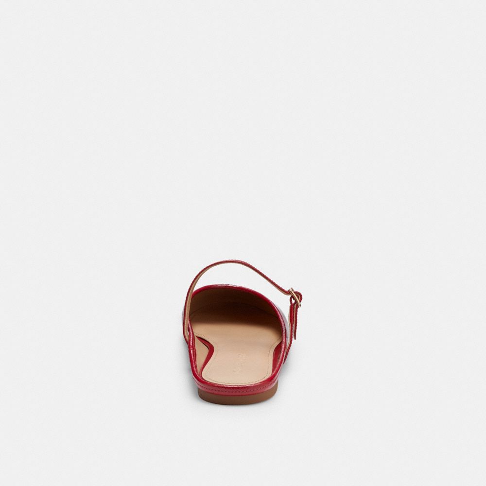 Women's Coach Ballet Mule Poppy