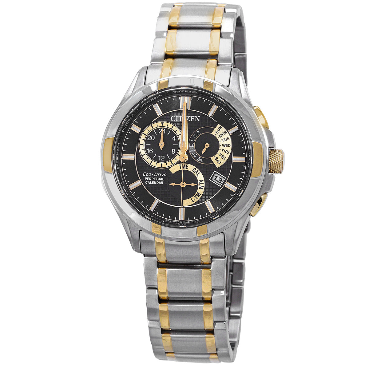 Citizen Eco-Drive Perpetual Alarm Black Dial Mens Watch