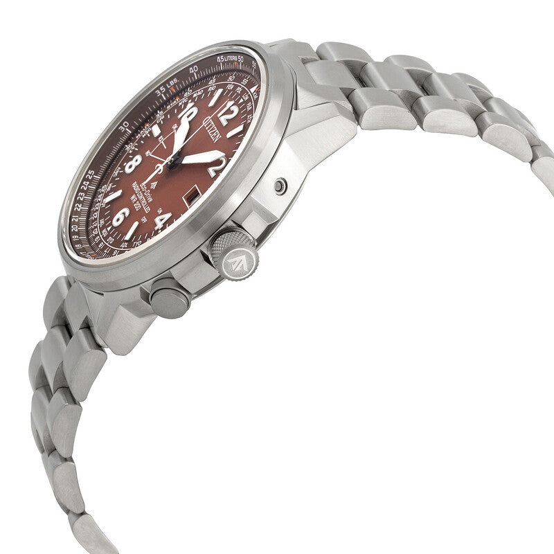 Citizen Perpetual World Time Watch