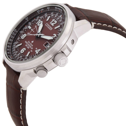 Citizen Promaster Sky Perpetual World Time Brown Dial Mens Watch