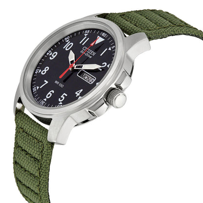 Citizen Strap Eco-Drive 180 Day-Date Mens Watch