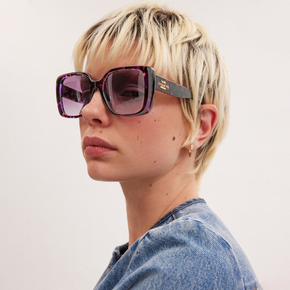 Coach Oversized Square Sunglasses Purple Tortoise