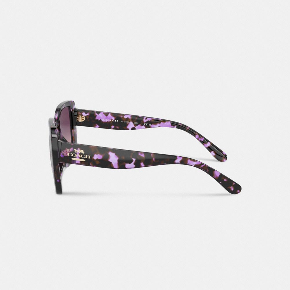 Coach Oversized Square Sunglasses Purple Tortoise