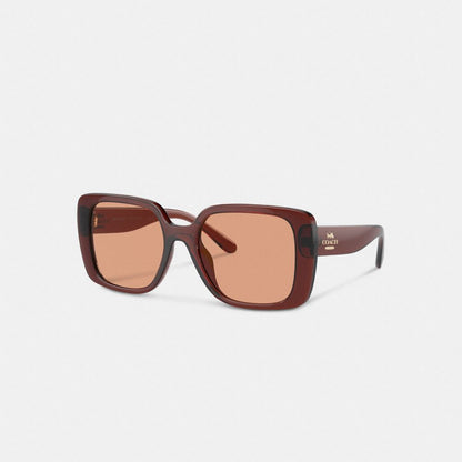 Coach Oversized Square Sunglasses Transparent Caramel