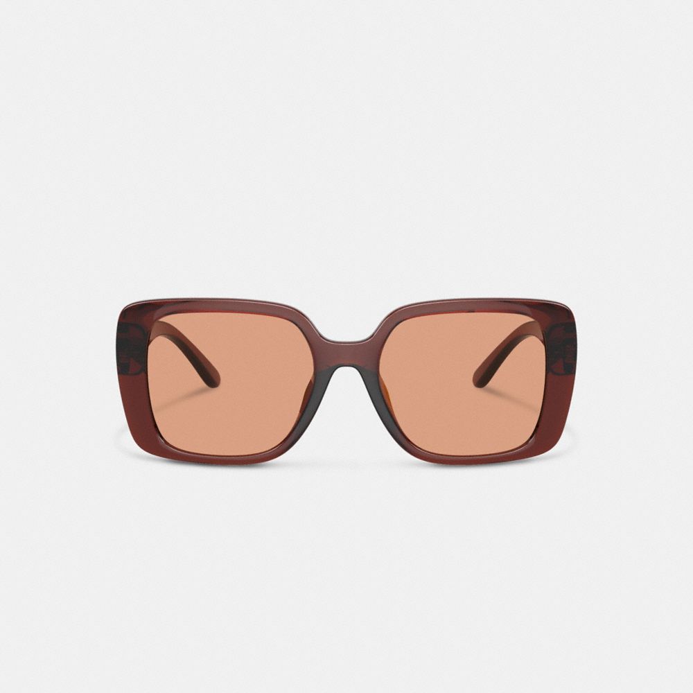 Coach Oversized Square Sunglasses Transparent Caramel