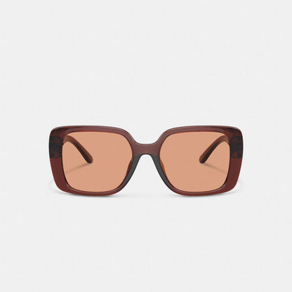 Coach Oversized Square Sunglasses Transparent Caramel