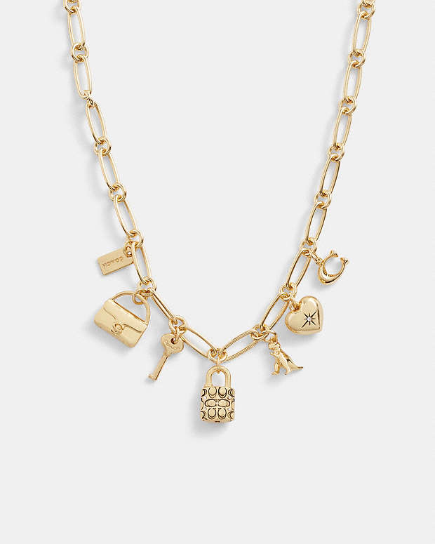 Iconic Charm Chain Necklace Plated Brass-Gold Plated Brass-Gold
